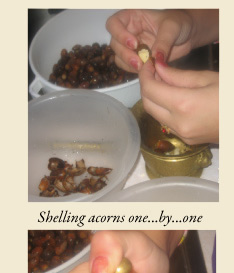 acorns