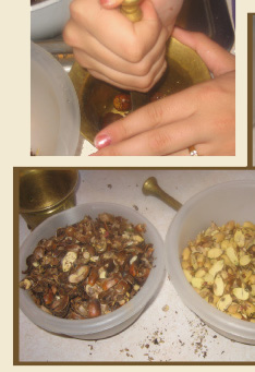 acorns